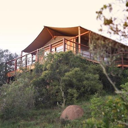 Addo Elephant Lodge & Safaris Kirkwood Exteriör bild