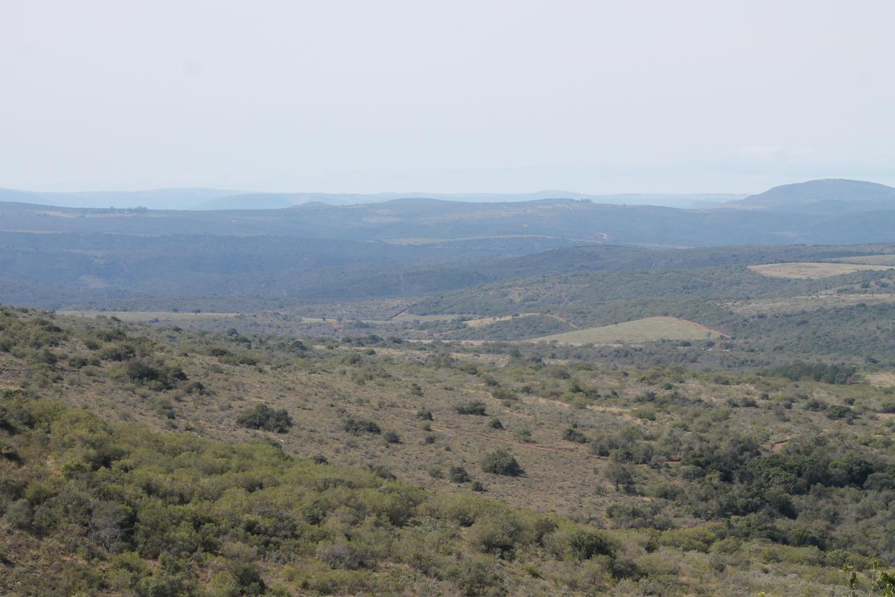 Addo Elephant Lodge & Safaris Kirkwood Exteriör bild