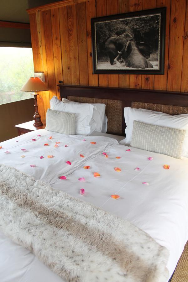 Addo Elephant Lodge & Safaris Kirkwood Exteriör bild