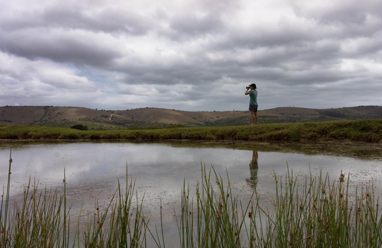 Addo Elephant Lodge & Safaris Kirkwood Exteriör bild