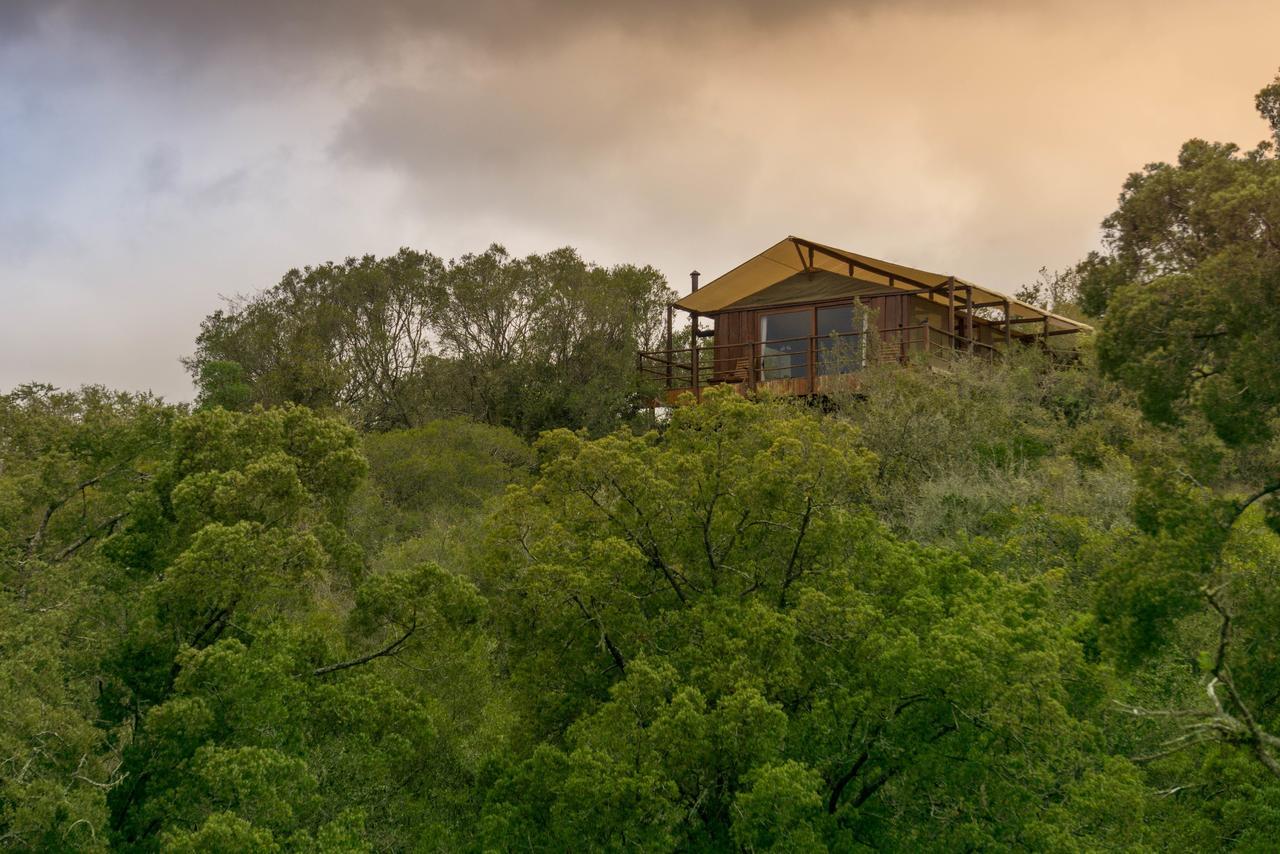 Addo Elephant Lodge & Safaris Kirkwood Exteriör bild