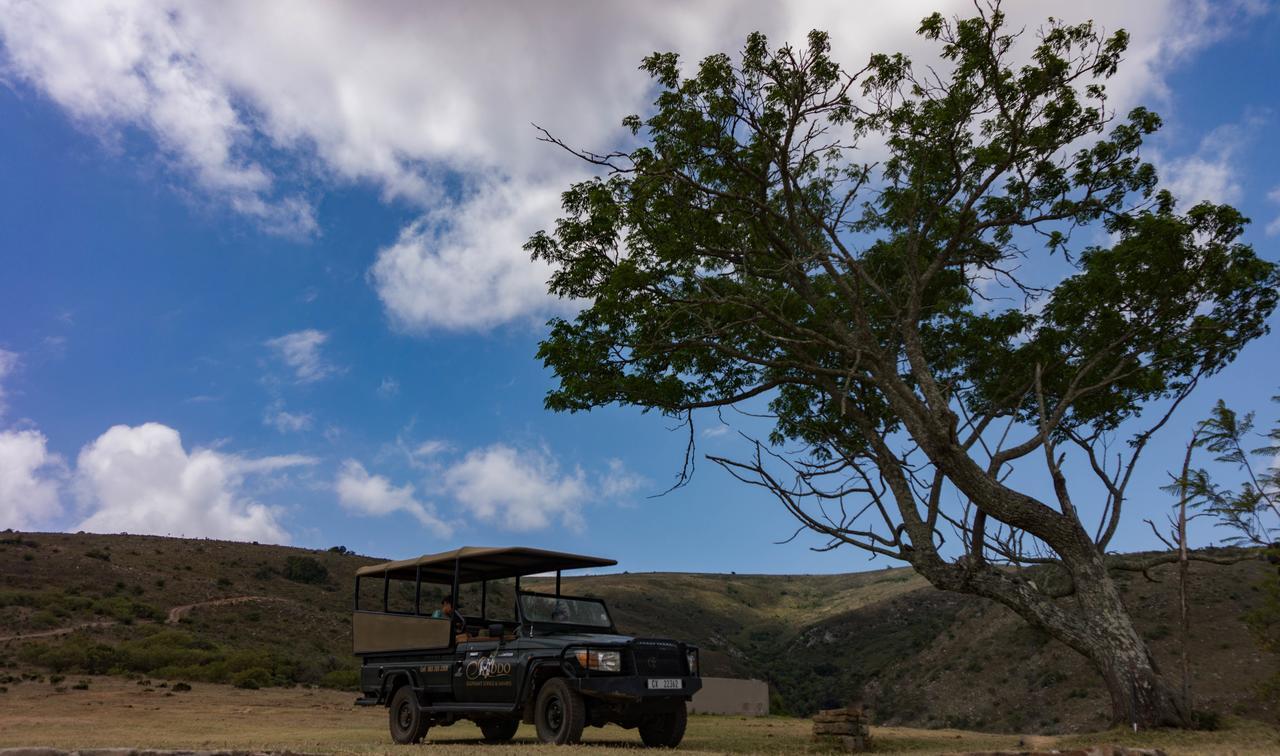 Addo Elephant Lodge & Safaris Kirkwood Exteriör bild