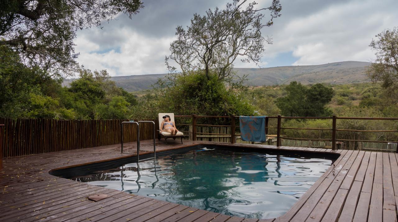 Addo Elephant Lodge & Safaris Kirkwood Exteriör bild
