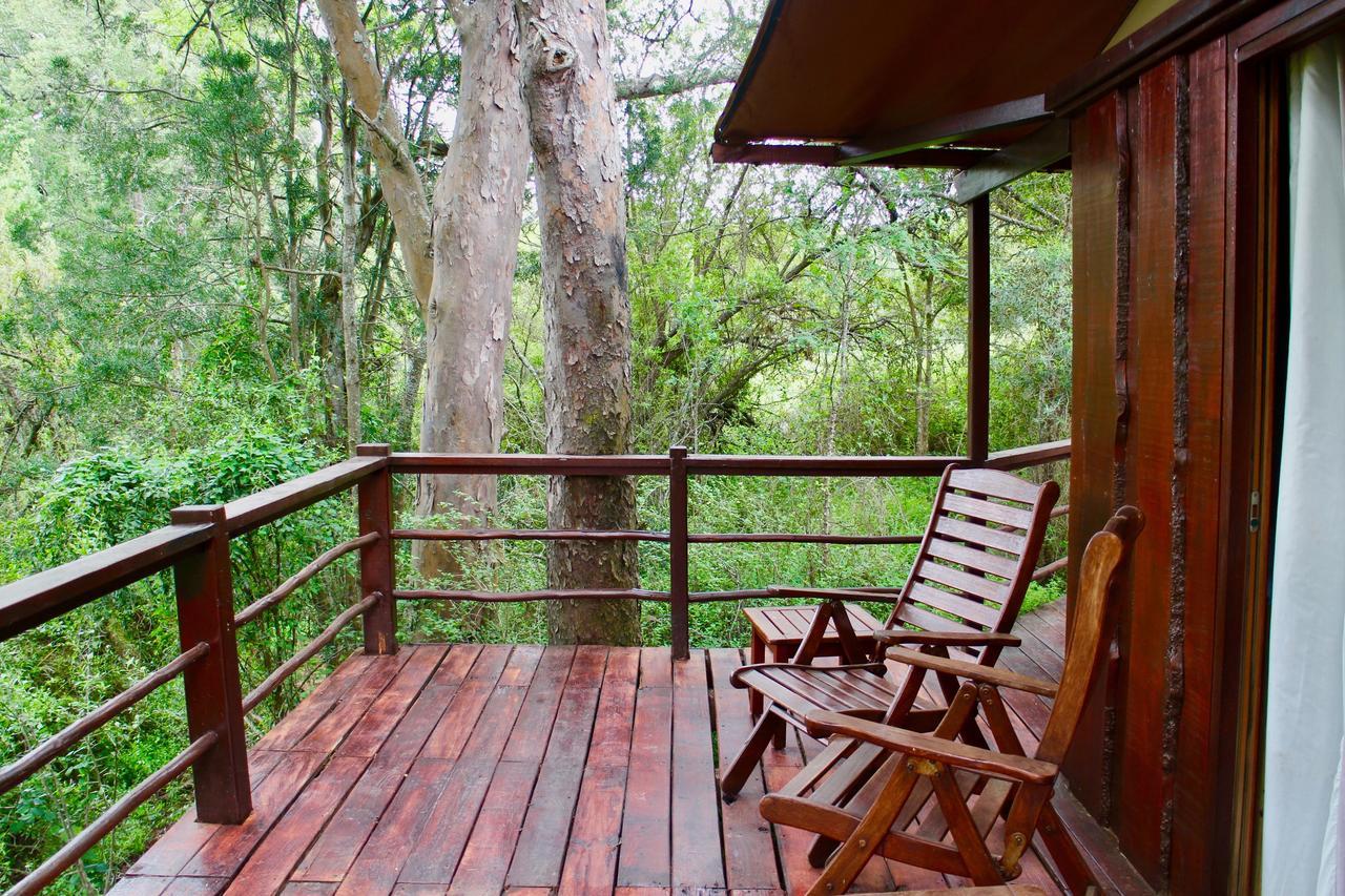 Addo Elephant Lodge & Safaris Kirkwood Exteriör bild