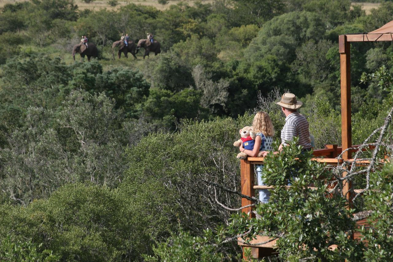 Addo Elephant Lodge & Safaris Kirkwood Exteriör bild