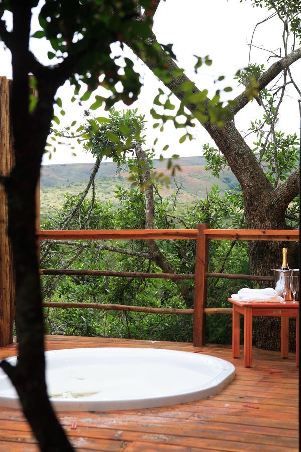 Addo Elephant Lodge & Safaris Kirkwood Exteriör bild